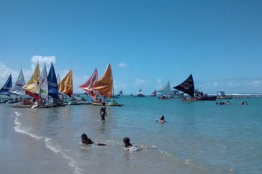 Day Trip to Porto de Galinhas from Recife  Private Tours and Travel Guide America Recife CITY Recife Destination Tour