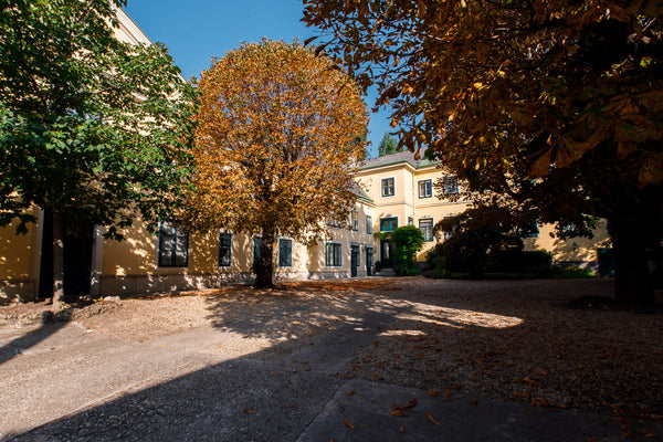 Become a guest in our family house built in 1684.  The building is over 300 year  Guest in 