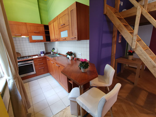 Adorable Studio Apartment located in the center of Old Prague.<br />Full kitchen Prague, Czechia 