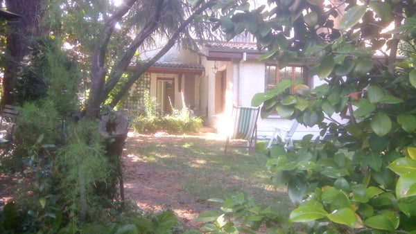 Rdc belle maison 1920 + jardin arboré sans vis-à-vis 450m2 avec terrasse, calme, Lyon, France Chambre privée LYON Private room in home vacation rental 28090690