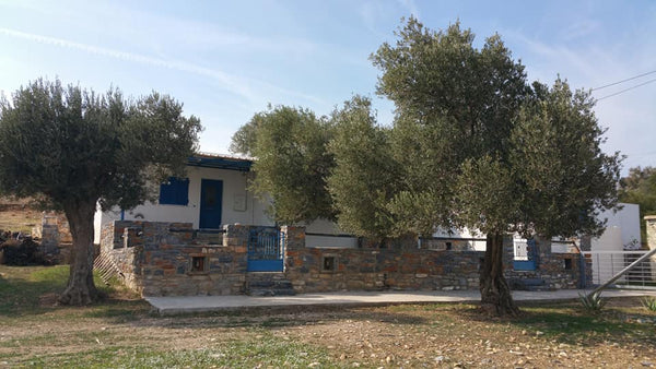 New house in a quiet place for your family.You'll find everything you need & air Apeiranthos, Greece El Paraiso Moutsouna-Naxos 