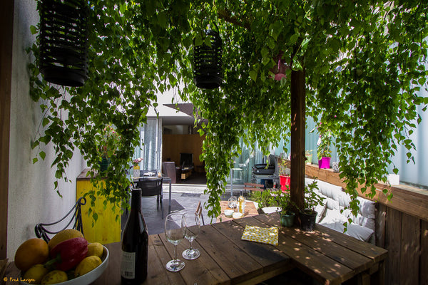 A large architect-designed house with 2 patios in Paris with 1 parking places in Paris, France Architect designed House in Paris with 2 patios Entire townhouse vacation rental 19501310