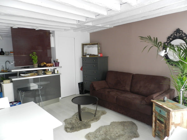 Studio tout équipé de 25m2 refait à neuf il y a 2 ans et idéalement situé dans l Paris, France Charmant studio au cœur de Paris Entire rental unit vacation rental 3665855