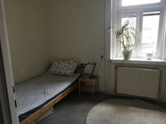 Das Apartment befindet sich in einem Zinshaus, welches 1905 erbaut wurde. Das St Vienna, Austria Günstiges Gästezimmer in einer Wohnung Private room in rental unit vacation rental 44454221