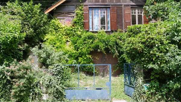 Petit chalet ancien, comme une cabane posé au milieu du bois à 20 minutes  en bu Lyon, France petit chalet atypique-Lyon 9è Entire chalet vacation rental 30365522