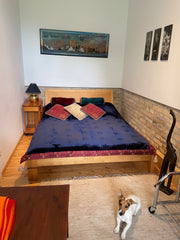 Neu renovierte Wohnung 36qm: 2-Zimmer+Küche+Bad <br />Platz für 2 Personen plus   Nationalpark Lobau Wohnung Entire condo vacation rental 599718022383232702