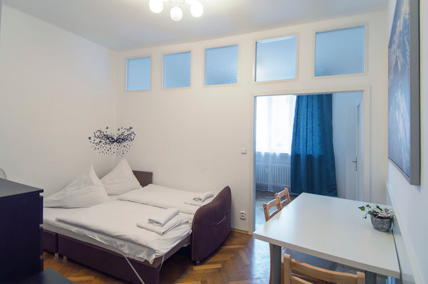 Modern, budget apartment right in the heart of Prague.  Central location of the  Prague, Czechia CENTRAL Fully equipped Navratilova 9S id: (17) Entire rental unit vacation rental 30082093
