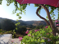 Thank you for another amazing Year  we are now fully booked for the 5th year in  Barnoldswick, United Kingdom Magical Hidden Cretan Retreat! Rethymnon. Monopari Private room in home vacation rental 622211
