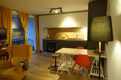 Venez profiter de notre belle ville de Lyon en séjournant dans cet appartement t Lyon, France Élégant appartement proche du centre-ville de Lyon Entire rental unit vacation rental 53544437