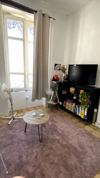Petit appartement étudiant dans un immeuble ancien de 23m2 dans le 6ème arrondis  Lyon : appartement proche part dieu Entire rental unit vacation rental 653565073118839180
