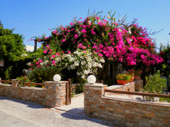 Our Triple studios are ideal for those seeking peaceful vacations. You will be s Naxos, Greece Dimitra Studios (Comfort Studio) Room in hotel vacation rental 5844313