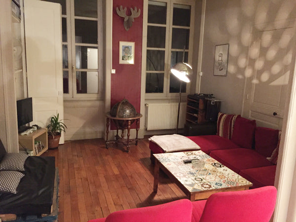 Charmant appartement (T2 44m²) idéalement situé dans le quartier très sympathiqu Lyon, France Appartement Lyon Centre Entire rental unit vacation rental 23863854