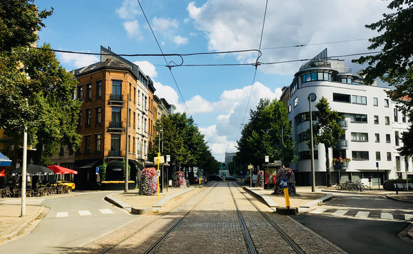 Een 19e eeuws herenhuis op 10 minuten wandelafstand van het oude centrum.<br />< Antwerpen, Belgium studio met tropische tuin Private room in rental unit vacation rental 34729342