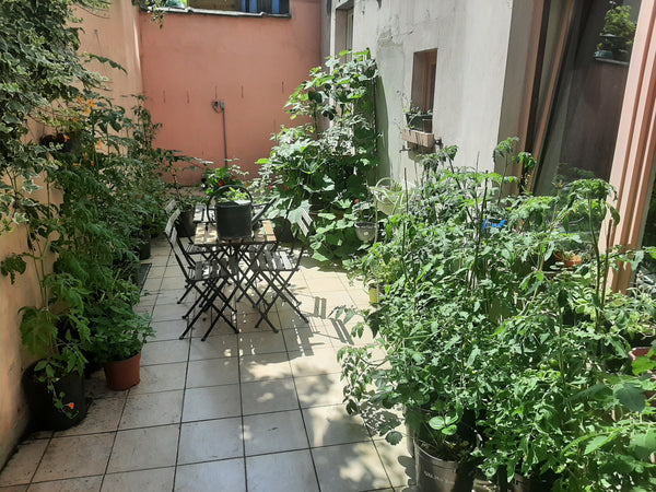Nice vintage deco studio (no separate room) <br /><br />The toilet is working bu Brussels, Belgium Cosy appartment with patio Entire rental unit vacation rental 617431173958444190
