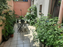Nice vintage deco studio (no separate room) <br /><br />The toilet is working bu Brussels, Belgium Cosy appartment with patio Entire rental unit vacation rental 617431173958444190