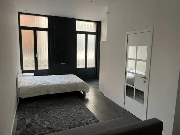 Ce logement parfaitement situé offre un accès facile à tous les sites et commodi  Ixelles: superbe appartement Entire rental unit vacation rental 584620040880938704