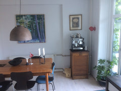 Lovely spacious 5 room apartment. 135 sqm. A big balcony. Quietly located by the Copenhagen, Denmark 5 rooms and balcony by the lakes Entire rental unit vacation rental 19176685