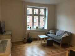 Quiet and bright 2-room apartment located in Amager with a charming living room  Copenhagen, Denmark Charming apartment close to city center and beach Entire rental unit vacation rental 41782052
