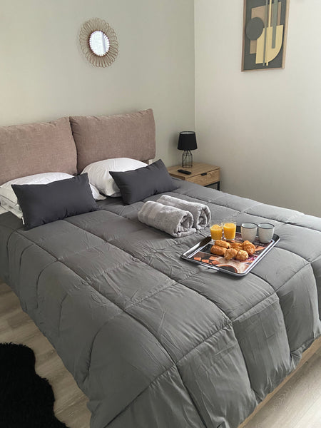Profitez d'un logement élégant et central.<br />A Lyon 3  aux pieds de la place   Magnifique appartement  Lyon 3 parking gratuit Entire rental unit vacation rental 760103980578474938