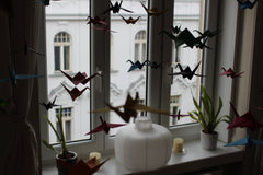 Sehr helle und gemütliche Wohnung in der Josefstadt. Perfekt für junge Reisende  Vienna, Austria Sonnige, gemütliche Wohnung in der Josefstadt Entire rental unit vacation rental 19820966