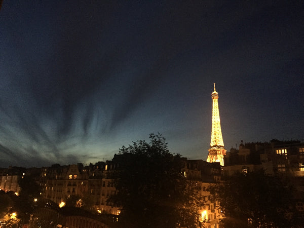 Fantastic view for this Parisian 35m2 flat with balcony. Very good location next Paris, France Fantastic Eiffel Tower view Entire rental unit vacation rental 9461926