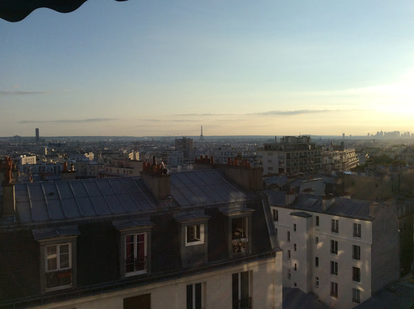 Mon appartement est à deux pas du magnifique Parc des Buttes Chaumont. Vous l'ap Paris, France 2 pièces Buttes Chaumont, vue imprenable sur Paris Entire rental unit vacation rental 13500837