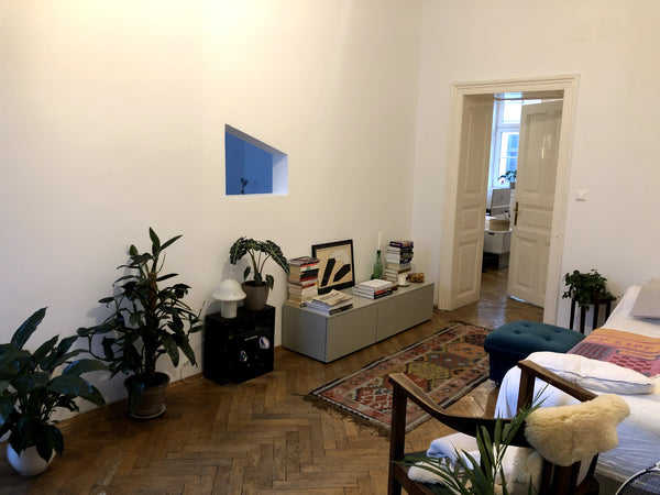 The flat is located close to the Naschmarkt - in the heart of the 5th District a  Cosy Room/Flat near Naschmarkt Private room in rental unit vacation rental 543340187161938891