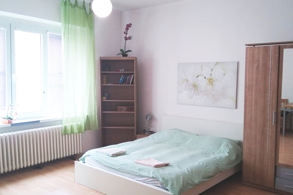 A spacious, private, clean room in the center of Old Town - the best area in Pra Prague, Czechia Central Old Town-Own Sink+Shower Private room in rental unit vacation rental 991924