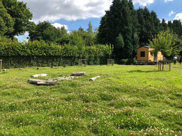 Nestled in lush greenery, Joly Tiny House will give you a unique experience. Sta Overijse, Belgium Joly Tiny House -  close to Brussels Tiny home vacation rental 43387451