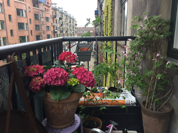 Bo i et af Københavns mest attraktive områder! Hyggelig lejlighed beliggende i K Copenhagen, Denmark Super hyggelig lejlighed i København Entire rental unit vacation rental 18115467