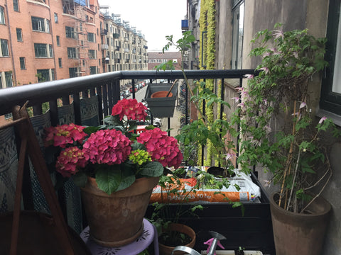 Bo i et af Københavns mest attraktive områder! Hyggelig lejlighed beliggende i K Copenhagen, Denmark Super hyggelig lejlighed i København Entire rental unit vacation rental 18115467