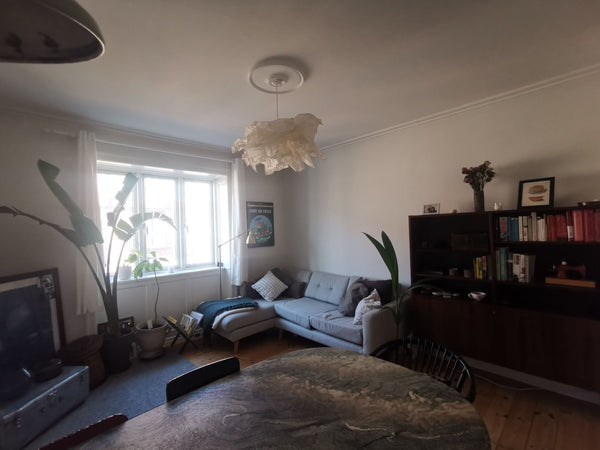 Cozy Copenhagen apartment nestled between Amagerbro and DR Byen metro. The apart Odense, Denmark Private apartment with space for life Entire rental unit vacation rental 635520430917340480