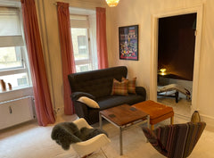 Newly paintet and refurbished apartment in Central Copenhagen  Apartment / lejlighed:  Nansensgade 75 i KBH K Entire rental unit vacation rental 36345548