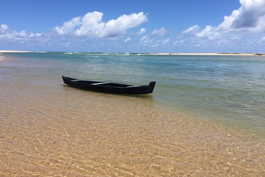 Praia do Forte beach tour  get to know the costa dos coqueiros  Private Tours and Travel Guide America Bahia CITY Salvador da Bahia Destination Tour