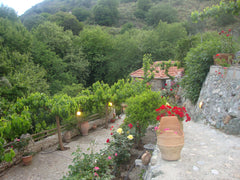 If you wish to write, paint, live...come to the fairytale old village of Kato Mi Rethimnon, Greece Angela’s River Paradise-Upper Cottage-We are back! Entire cottage vacation rental 48950495