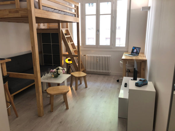Proche du pôle économique de la Part-Dieu, cet appartement est idéal pour un vo Lyon, France Appartements boisés idéal pour visiter Lyon. Entire rental unit vacation rental 36368959