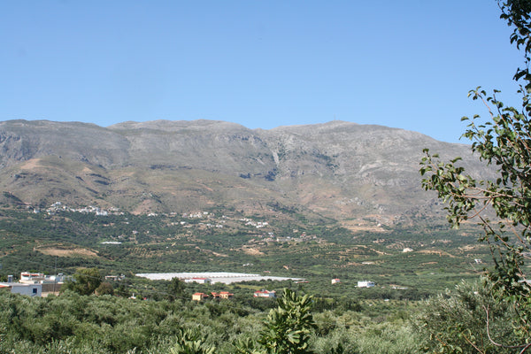Nice and simple apartment in the middle of nature, with a separate lovely decora Plakias, Greece In the nature - nice studio near Plakias/Damnoni Entire guest suite vacation rental 19465068