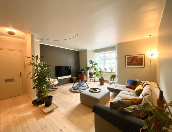 Copenhagen, Denmark Attraktiv lejlighed nær hjertet af København Entire condo vacation rental 699817064489730194