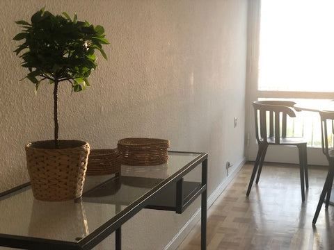 A nice 1 bedroom apartment in Valby. <br />15-20 minutes from City by public tra Frederiksberg, Denmark L64, 1. 23 A 1 bedroom apartment in Valby Entire serviced apartment vacation rental 638833973250904372