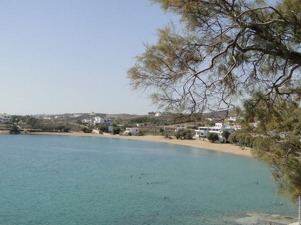 THIS STUDIO HAS KICHEN,FRIGE,BATHROOM,AIR CONDITION,TV,BALCONY WITH GARDEN VIEW, Paros, Greece Oasis Studios Logaras (Studio for 3 U) Private room in rental unit vacation rental 7023683