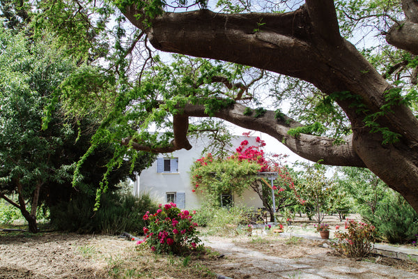 Enjoy the natural beauty of Naxos in a beautiful cottage at the historical Margo Eggares, Greece Margouno Eco Cottage, Eggares, Naxos Entire guesthouse vacation rental 19115474