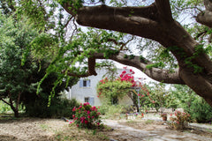 Enjoy the natural beauty of Naxos in a beautiful cottage at the historical Margo Eggares, Greece Margouno Eco Cottage, Eggares, Naxos Entire guesthouse vacation rental 19115474