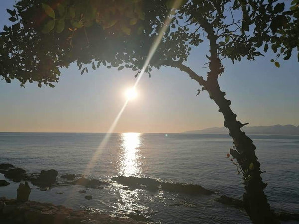 Cosy, neat and modern apartment right on the waterfront in the middle of Hersoni  Sea Waves Apartment 2 Entire rental unit vacation rental 51259235