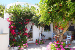 Idéalement située au sud de la Crète, dans un village typique de montagne près d Paris, France Mer, montagne, bougainvilliers et citronniers... Cycladic home vacation rental 2330790