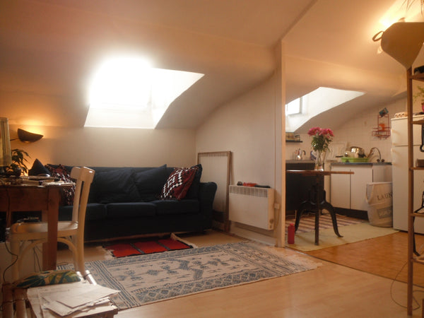 Parfait pour se ressourcer, ce charmant studio fait penser aux maisons troglodyt Lyon, France Charmant studio au coeur de Lyon Entire rental unit vacation rental 9225641