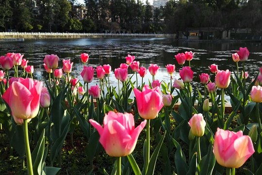 Private Day Tour in Kunming: Flower and Birds Market  Dianchi  Green Lake etc.  Private Tours and Travel Guide Asia Shanghai CITY Kunming Destination Tour