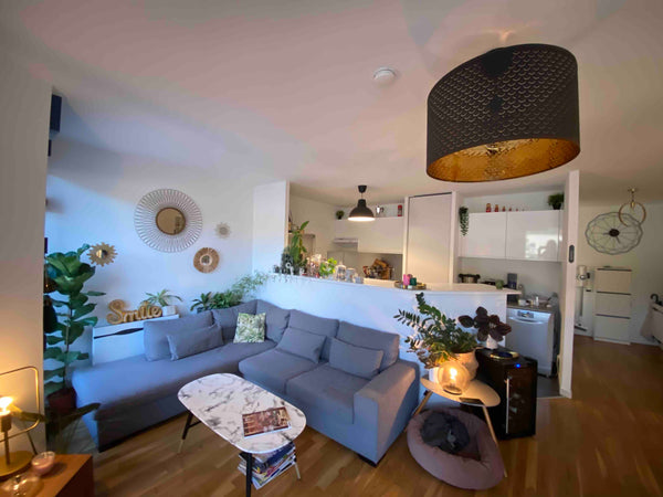 Au 6ème et dernier étage avec ascenseur dans un quartier calme et moderne. <br / Lyon, France Joli T3 avec vue (garage disponible en souterrain) Entire rental unit vacation rental 52927266