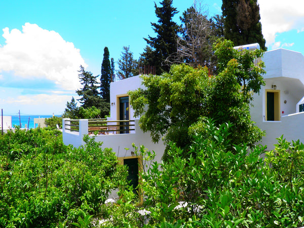 Alpha Stegna Sun offers a spacious suite ideal for up to 4 guests.  We are locat Athens, Greece Country Suite - 50m from STEGNA Beach Entire rental unit vacation rental 6643618