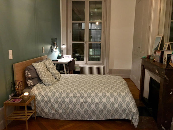 Chambre privée dans un appartement rénové récemment avec goût. La chambre est id Lyon, France Chambre double avec sdb privée au cœur de Lyon Private room in rental unit vacation rental 39541946