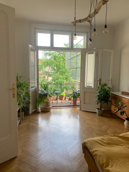 Enjoy staying your vienna city holiday or impulstanz workshop in urban jungle fl Vienna, Austria Urban jungle flat Entire rental unit vacation rental 50817630